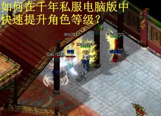 如何在千年私服电脑版中快速提升角色等级？