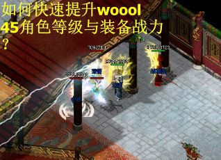 如何快速提升woool45角色等级与装备战力？