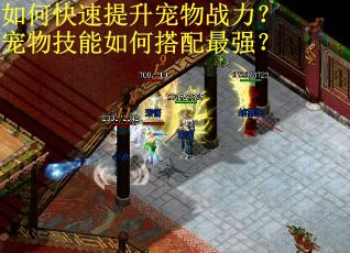 如何快速提升宠物战力？宠物技能如何搭配最强？