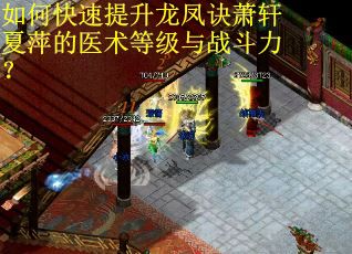 如何快速提升龙凤诀萧轩夏萍的医术等级与战斗力？