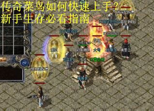 传奇菜鸟如何快速上手？新手生存必看指南