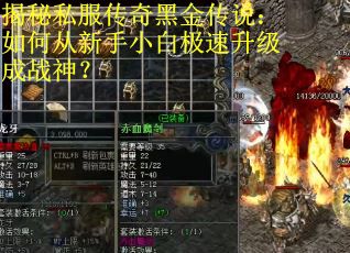 揭秘私服传奇黑金传说：如何从新手小白极速升级成战神？