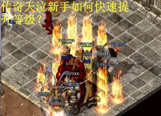 传奇天泣新手如何快速提升等级？