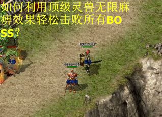 如何利用顶级灵兽无限麻痹效果轻松击败所有BOSS?