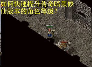 如何快速提升传奇暗黑修仙版本的角色等级？