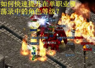 如何快速提升在单职业雁荡录中的角色等级？