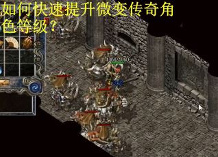 如何快速提升微变传奇角色等级？
