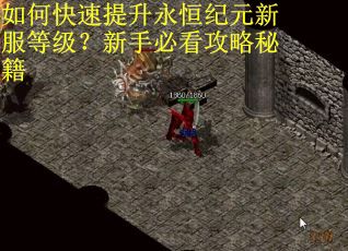 如何快速提升永恒纪元新服等级？新手必看攻略秘籍