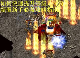 如何快速提升等级？传奇新服新手必备攻略指南