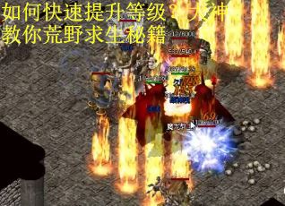 如何快速提升等级？大神教你荒野求生秘籍