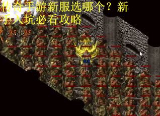 传奇手游新服选哪个？新手入坑必看攻略