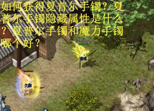 如何获得夏普尔手镯？夏普尔手镯隐藏属性是什么？夏普尔手镯和魔力手镯哪个好？