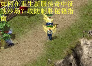 如何在重生新服传奇中征战沙场？攻防制胜秘籍指南