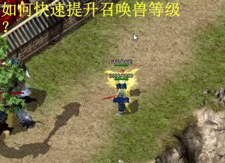 如何快速提升召唤兽等级？