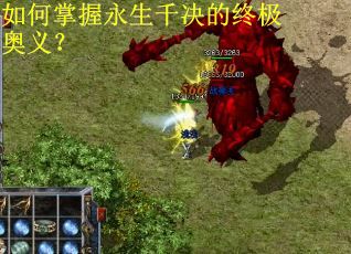 如何掌握永生千决的终极奥义？