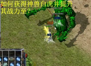 如何获得神兽白虎并提升其战力至？