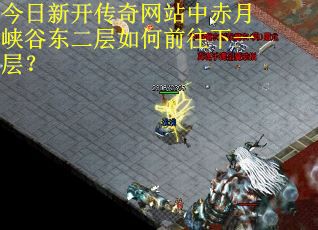 今日新开传奇网站中赤月峡谷东二层如何前往下一层？