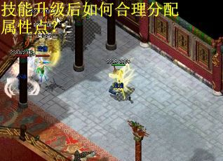 技能升级后如何合理分配属性点？