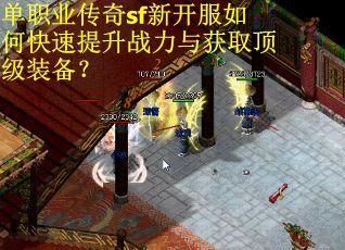单职业传奇sf新开服如何快速提升战力与获取顶级装备？
