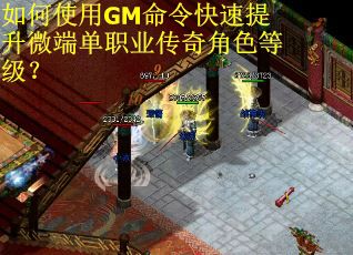如何使用GM命令快速提升微端单职业传奇角色等级？