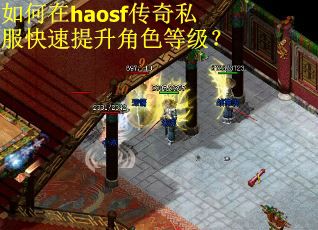 如何在haosf传奇私服快速提升角色等级？