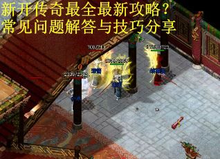 新开传奇最全最新攻略？常见问题解答与技巧分享