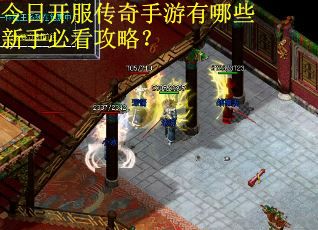 今日开服传奇手游有哪些新手必看攻略？