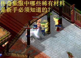 传奇私服中哪些稀有材料是新手必须知道的？